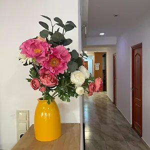 Center And Hostel