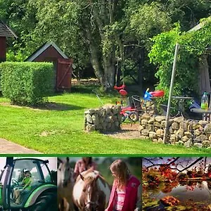Stutteri Skandihest Gospodarstwo agroturystyczne
